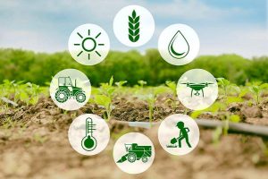 IoT-in-Agriculture