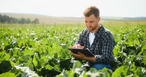 sustainability-icl-page-agricultural-research